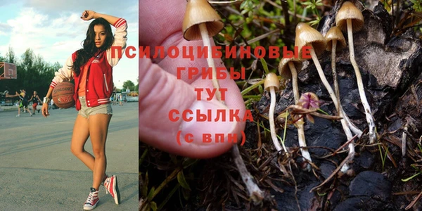 эйфоретик Богородицк