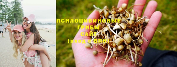 гашиш Богородск