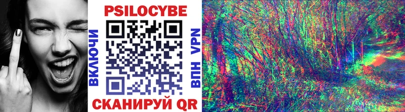 Псилоцибиновые грибы Psilocybine cubensis  Армавир 