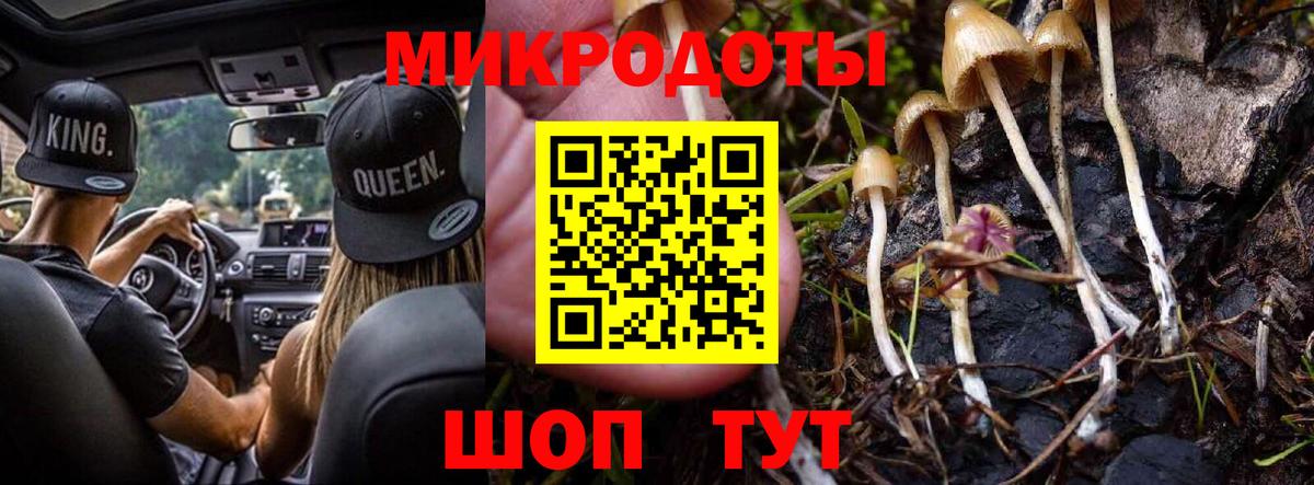 Армавир  Галлюциногенные грибы мухоморы  цены наркотик  Вход с VPN 